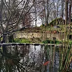 Rustic Retreat-country House Tondela