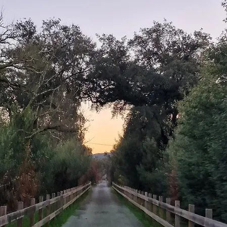 Rustic Retreat-country House * Tondela