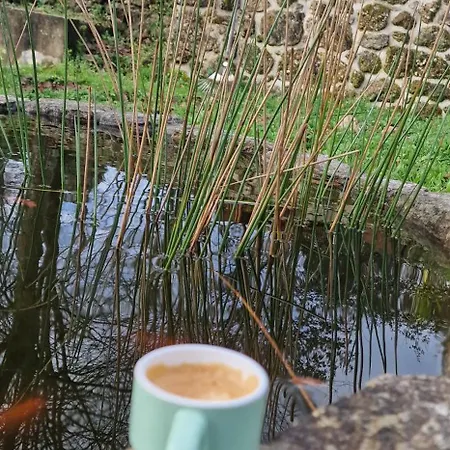 Rustic Retreat-country House *