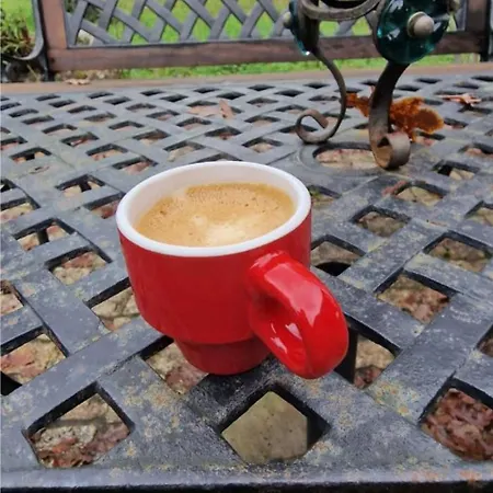 Rustic Retreat-country House Tondela