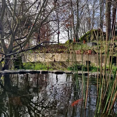 Rustic Retreat-country House Tondela