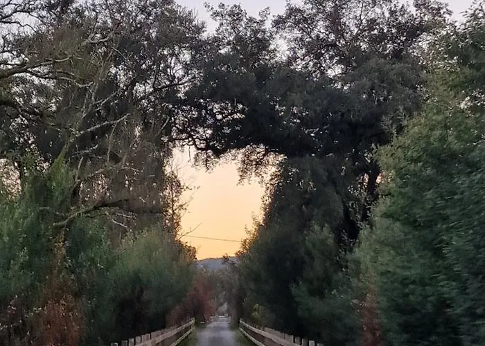 Rustic Retreat-country House * Tondela