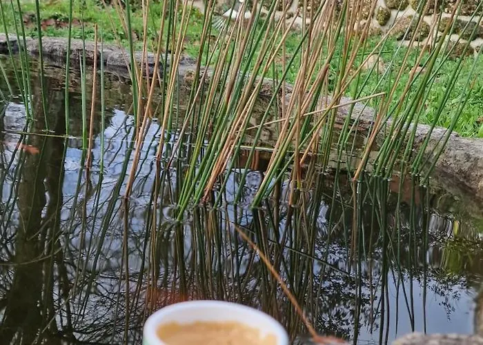 Rustic Retreat-country House *