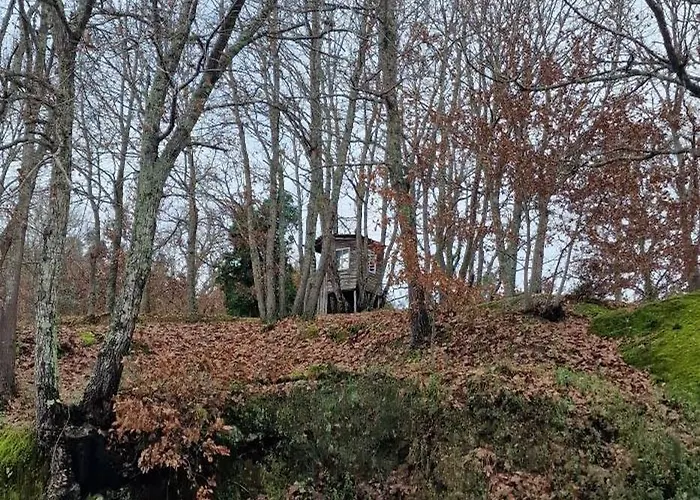 בית כפרי Rustic Retreat-country House