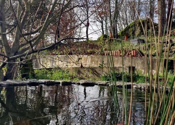 Rustic Retreat-country House Tondela